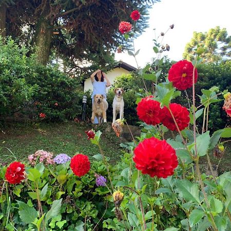 Casa Das Dalias Monte Verde  Eksteriør billede